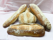 Load image into Gallery viewer, Brick Oven Napolitano Bread