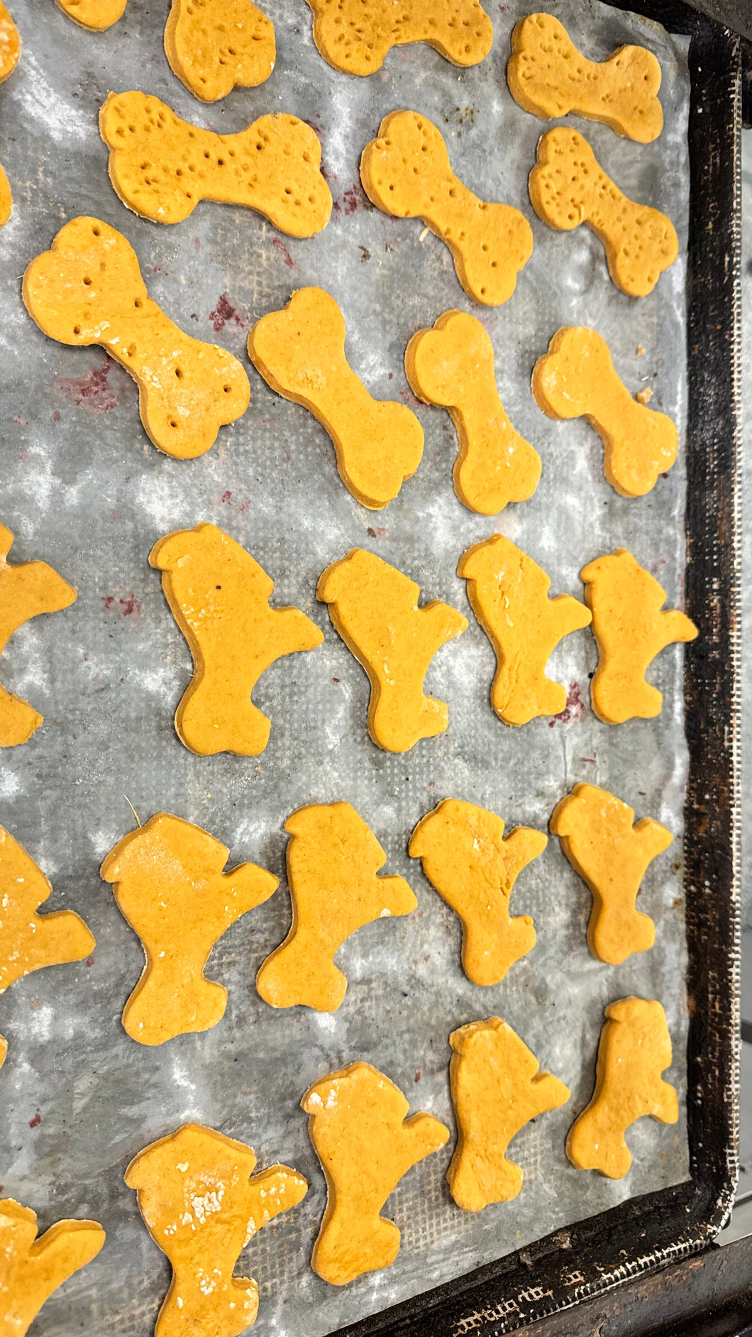 Dog Biscuits Two Pack (20 Pieces Total)