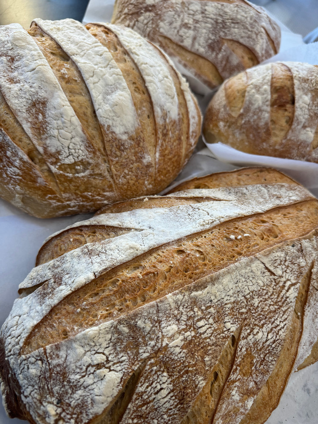 Brick Oven Napolitano Bread Collection